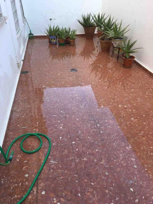 Casa Soleada En Calle Tranquila Séville