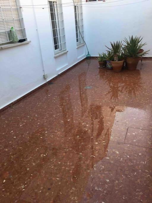 Casa Soleada En Calle Tranquila Hébergement de vacances Séville
