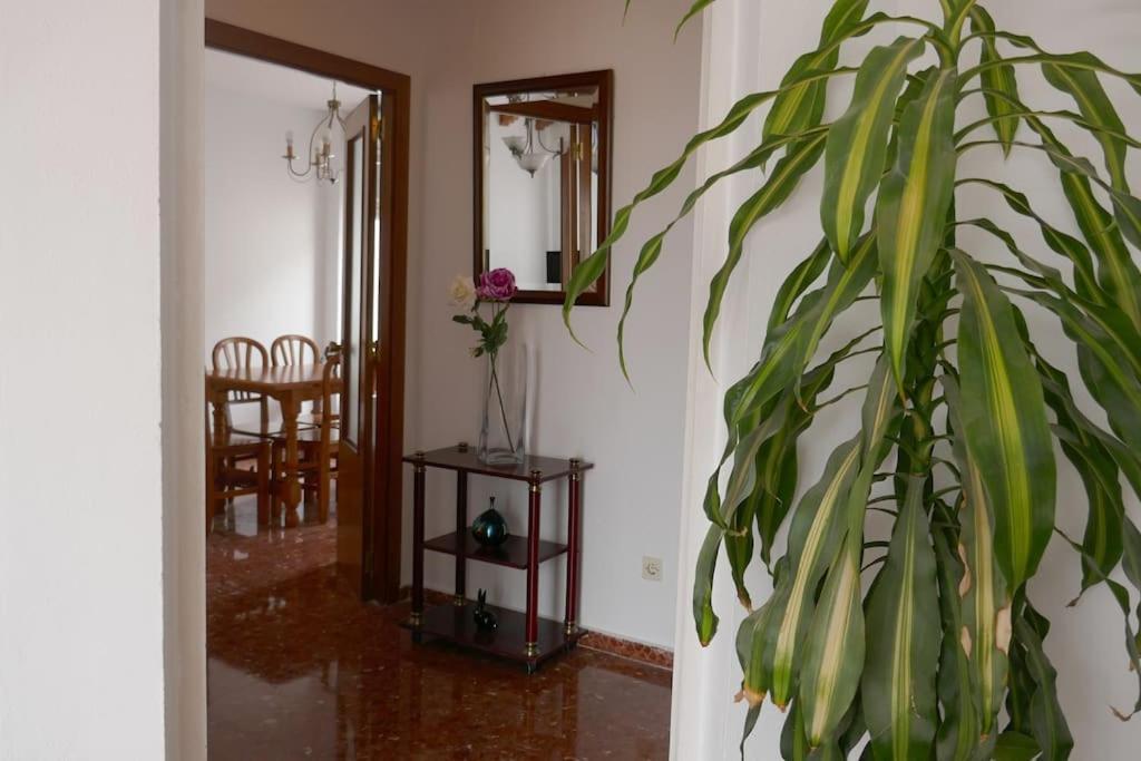Hébergement de vacances Casa Soleada En Calle Tranquila *